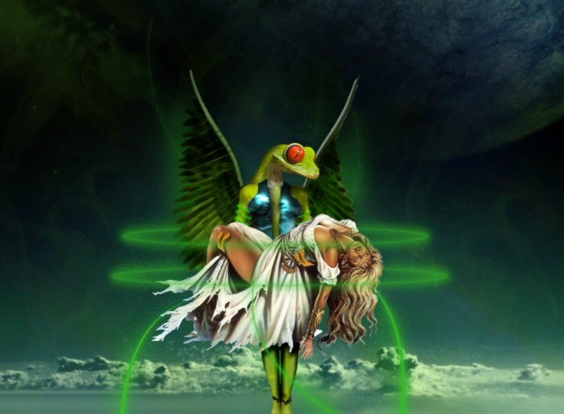 MMT5R305electronchaser