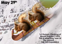 May_EverestClimbingMat29_Toots_de_la_Footsjelly.jpg