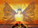 Filename=sage_l.jpg
Filesize=522KiB
Dimensions=1600x1200
Date added=Sep 22, 2011 sage_l.jpg